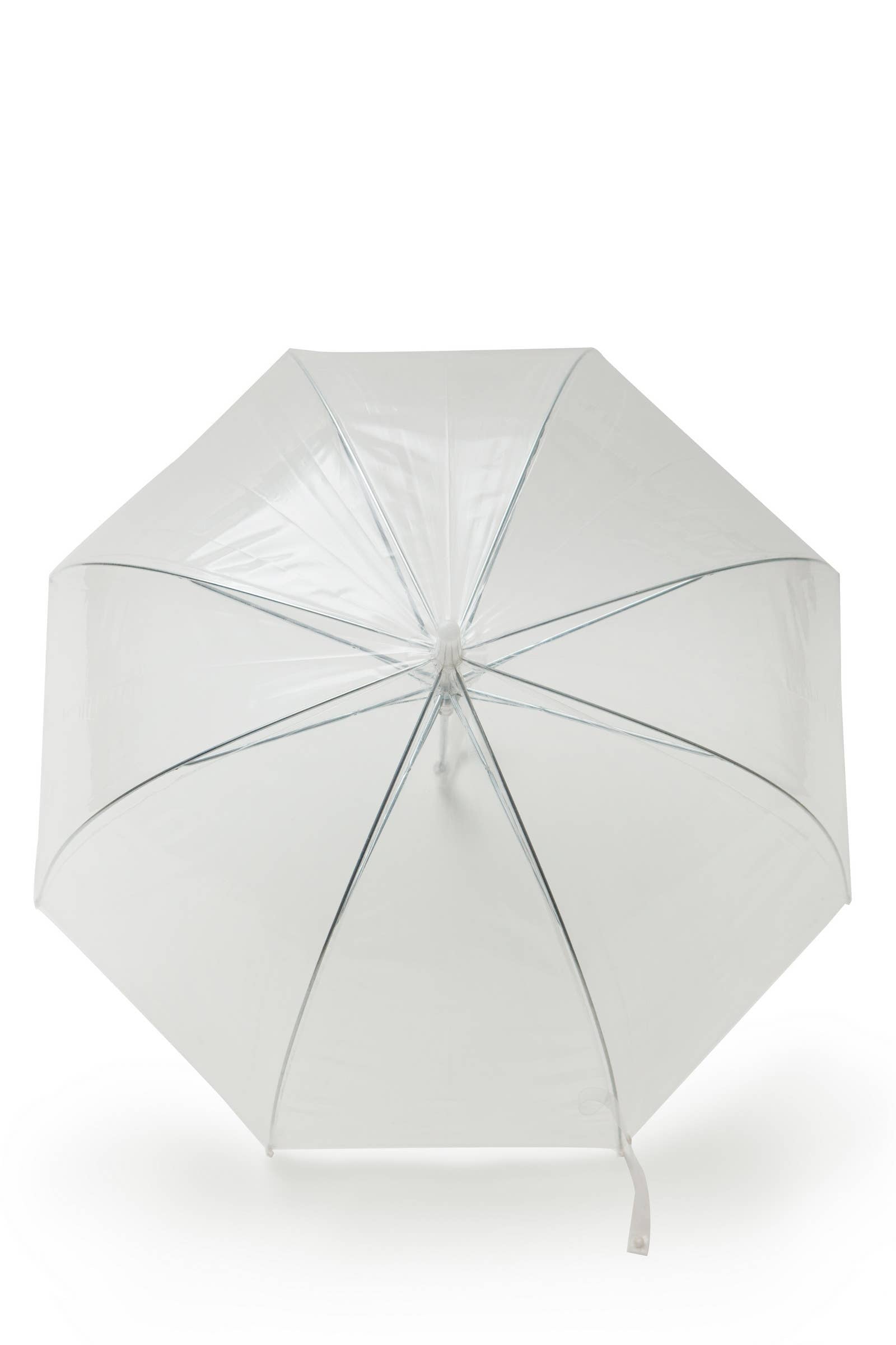 Transparent Dome Umbrella with White Handle
