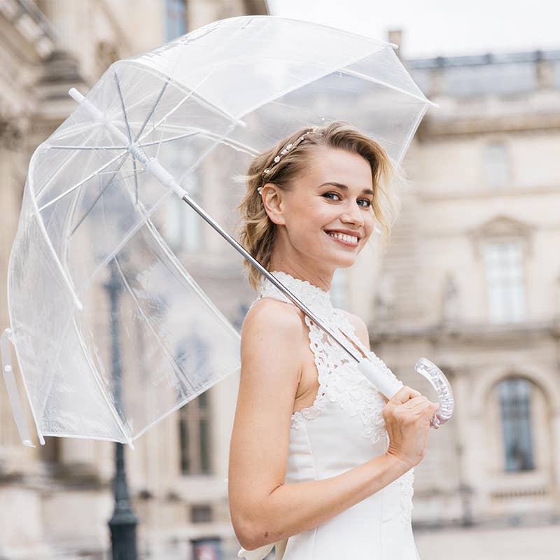 Transparent Dome Umbrella with Clear Handle